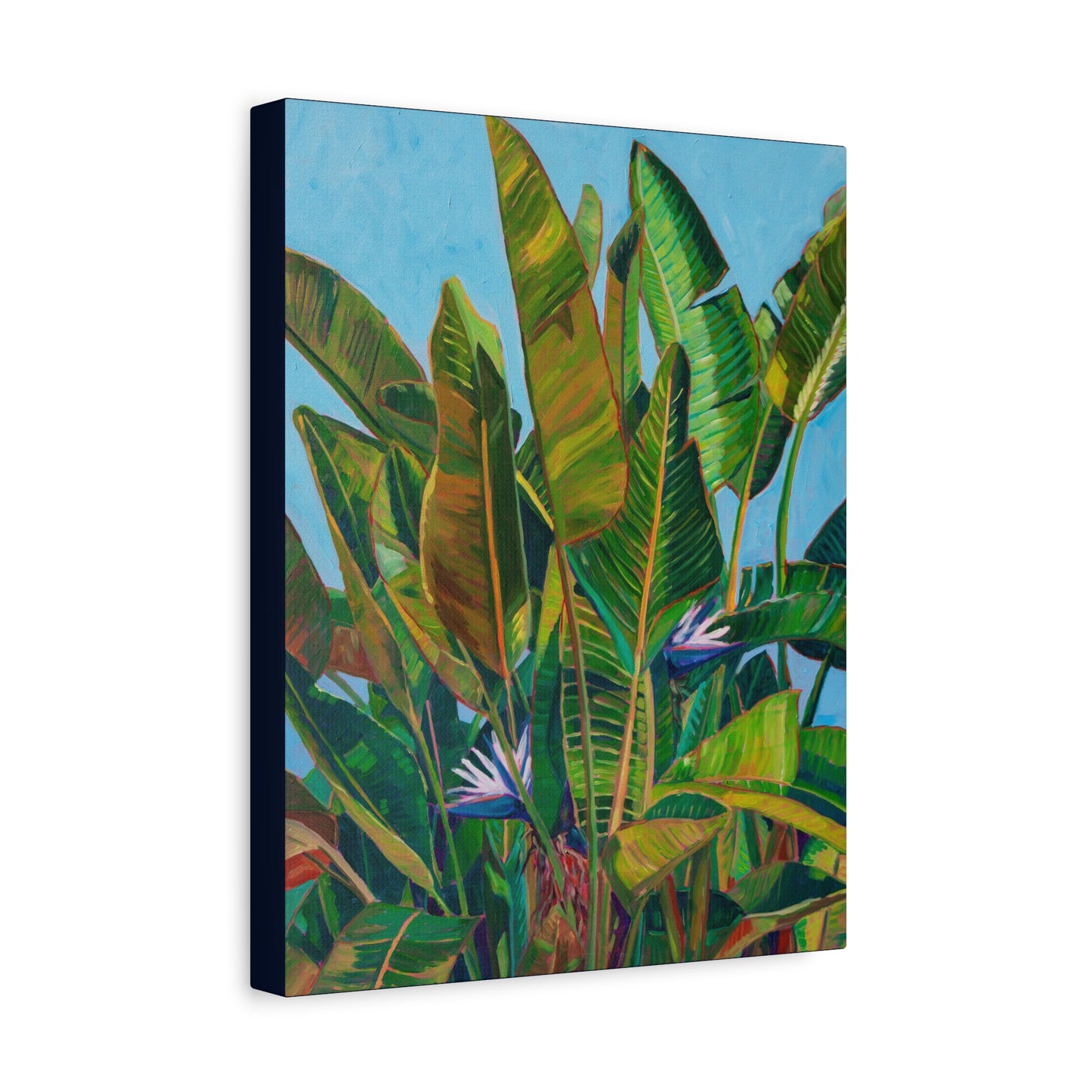 Bird of Paradise 3 —Matte Canvas, Stretched, 1.25"