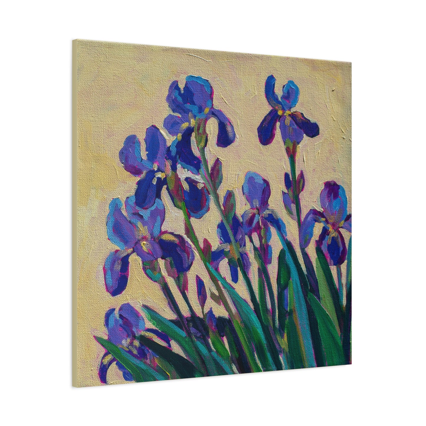 Purple Irises Floral —Matte Canvas, Stretched, 1.25"