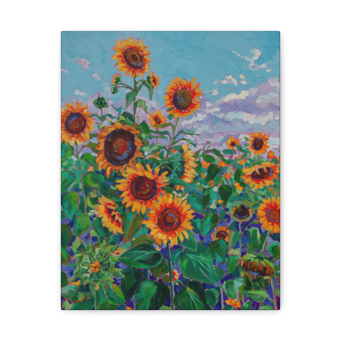 Sunflower field 5— Gallery Wrapped Canvas Reproduction