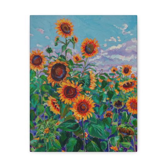 Sunflower field 5— Gallery Wrapped Canvas Reproduction