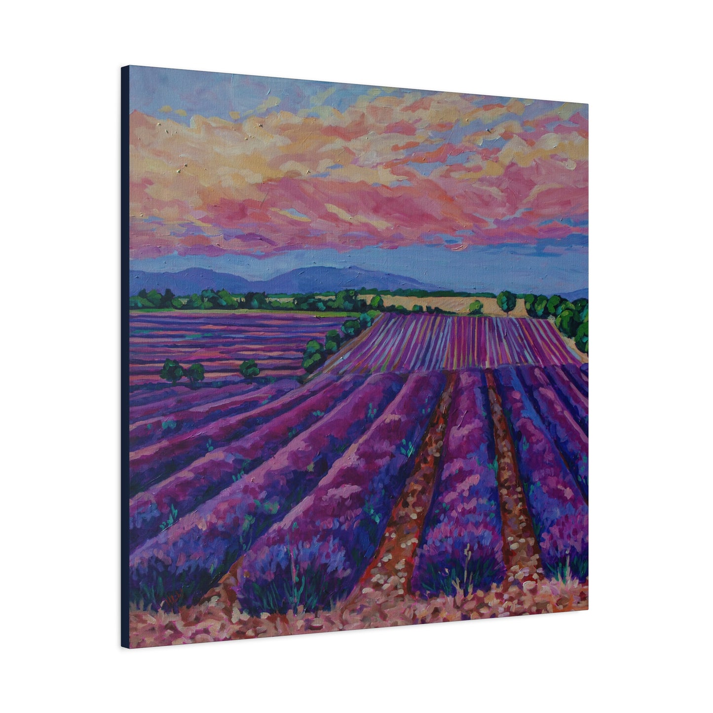 Lavender field at Sunset —Matte Canvas, Stretched, 1.25"