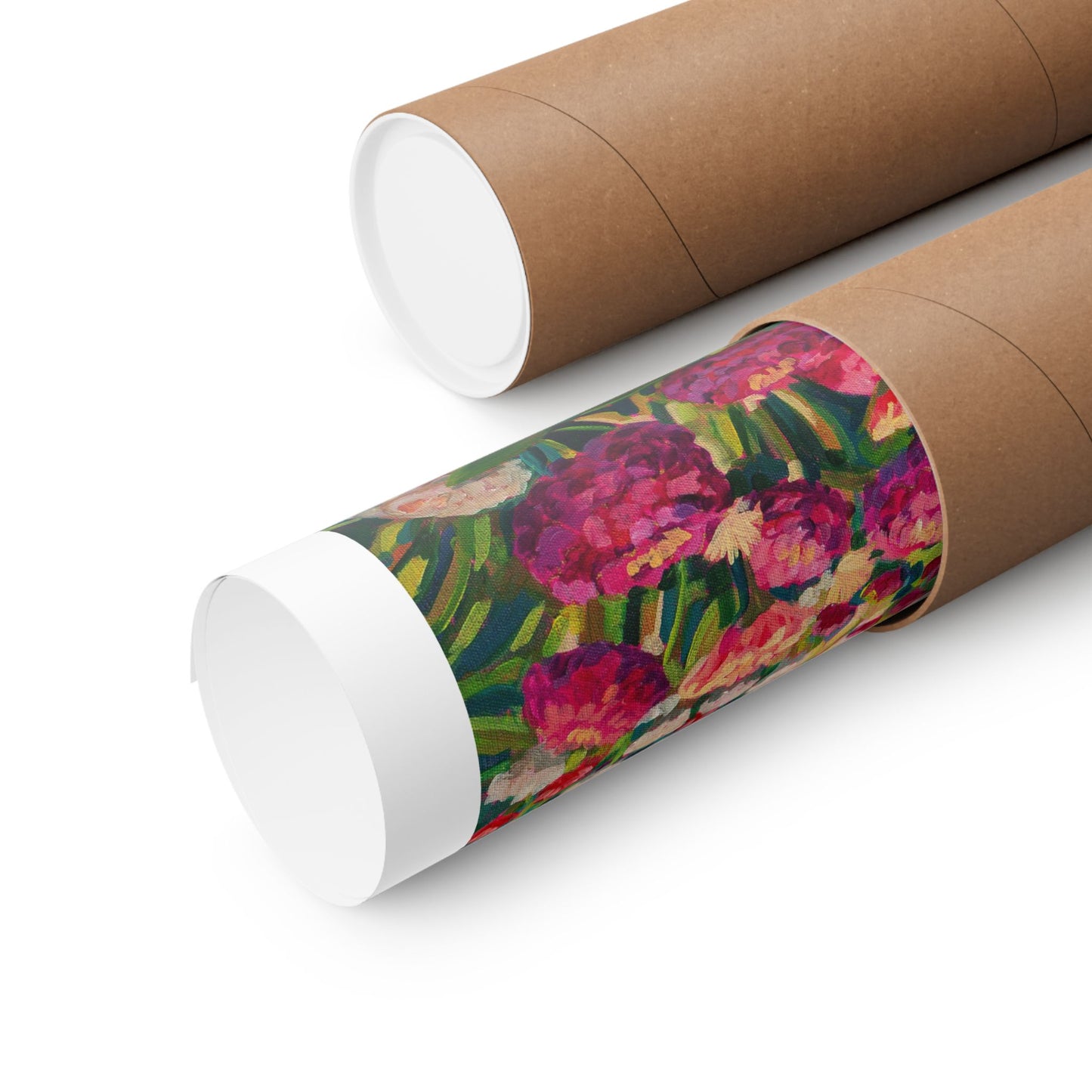 Wonder garden series- Zinnias in the Mountain Light— Matte Paper Poster Reproduction