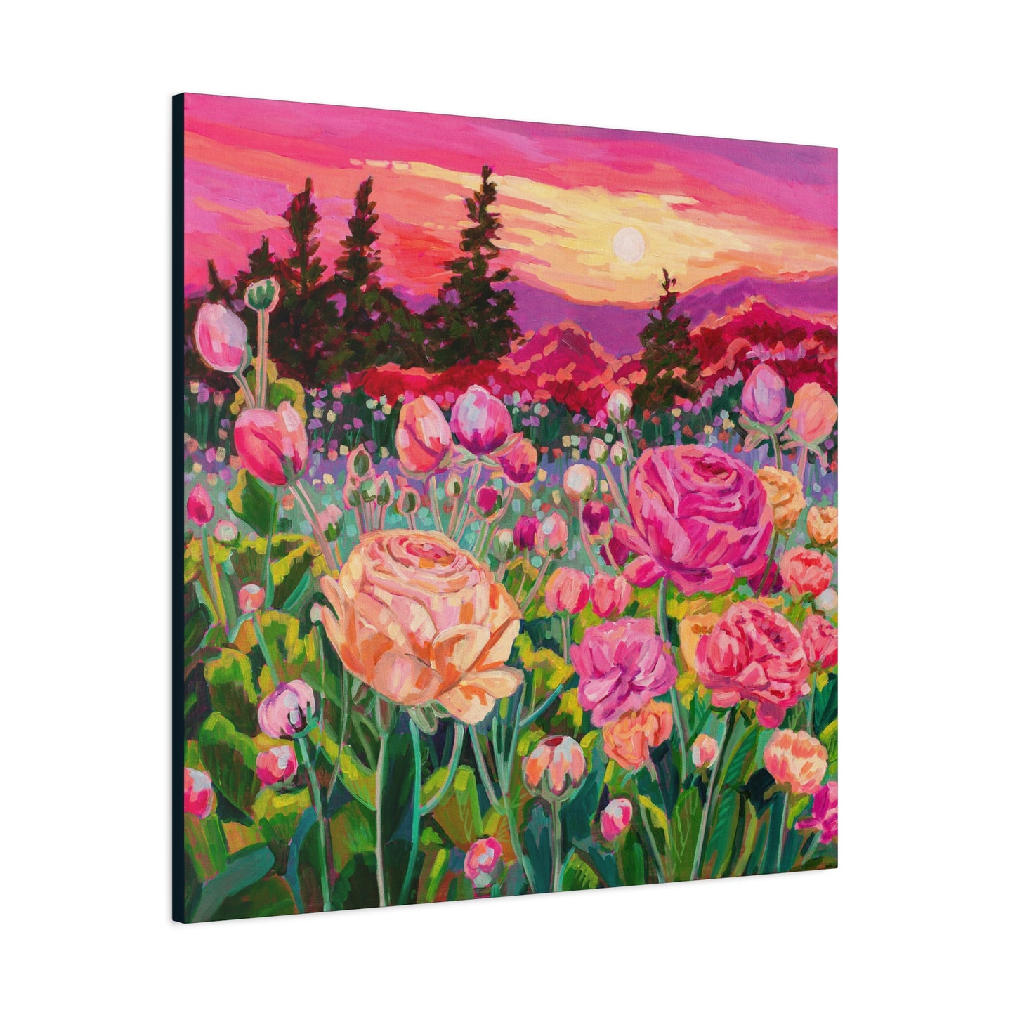 Wonder garden series- ranunculus—Matte Canvas, Stretched, 1.25"