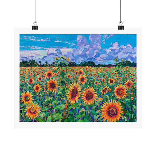 Field of Sunshine —Matte Horizontal Posters