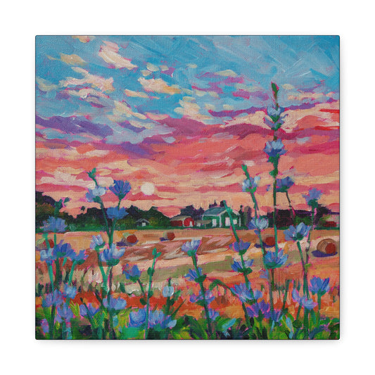 Chicory at Sunrise—Matte Canvas, Stretched, 1.25"