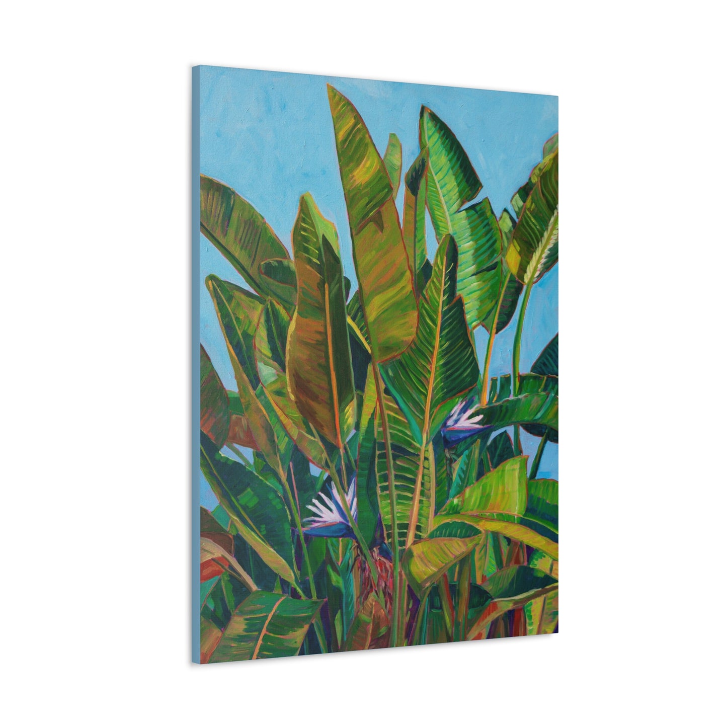 Bird of Paradise 3 — Gallery Wrapped Canvas Reproduction