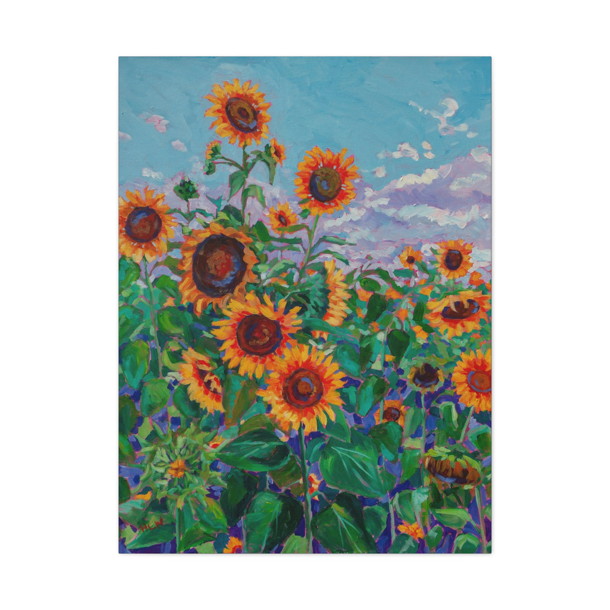 Sunflower field 5— Gallery Wrapped Canvas Reproduction