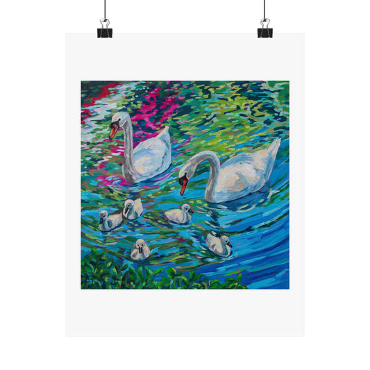 Spring time Swan family— Matte Paper Poster Reproduction