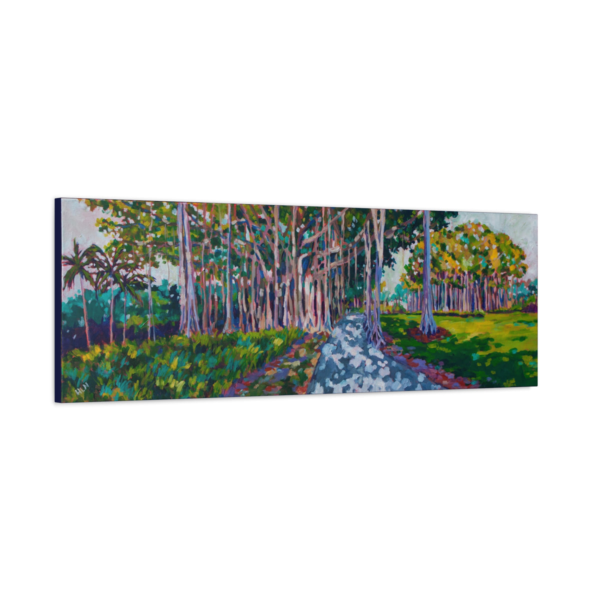 Ringling's Banyan— Gallery Wrapped Canvas Reproduction