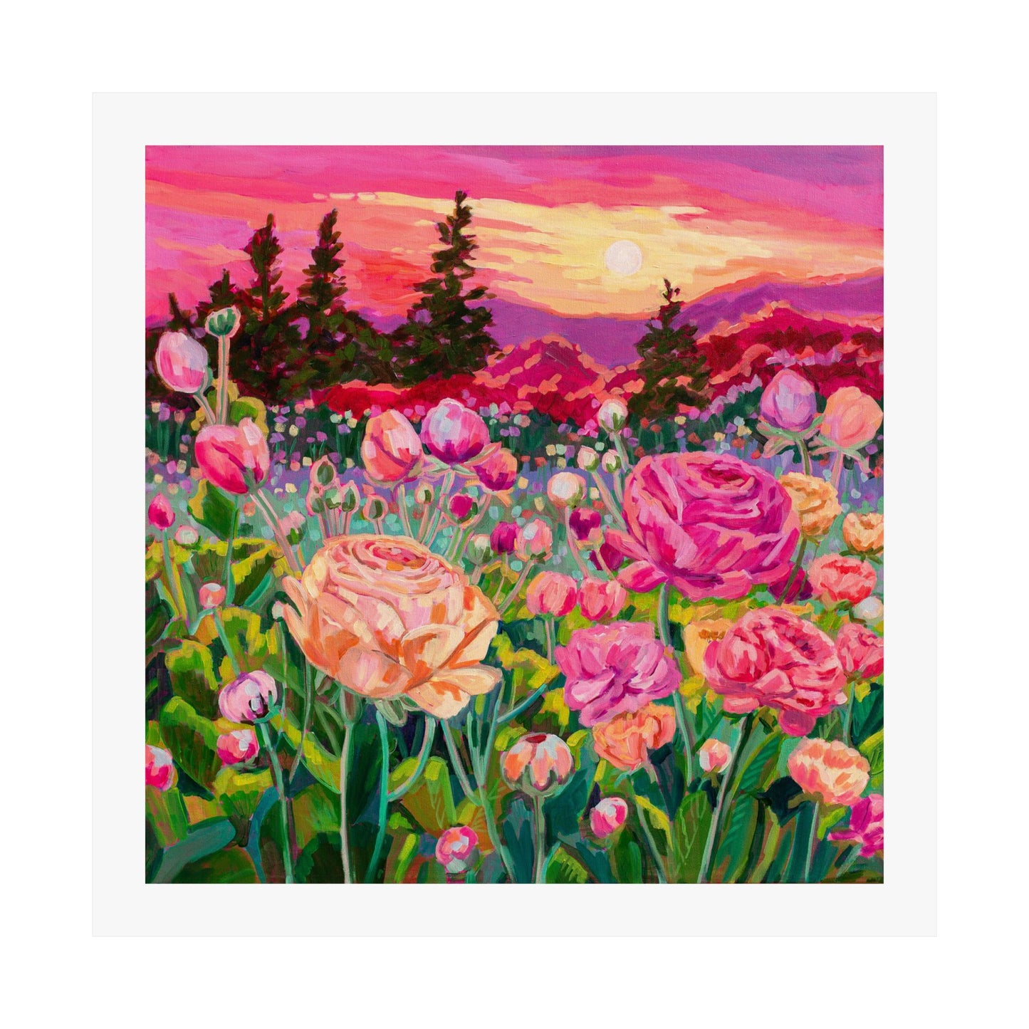 Wonder garden series- Ranunculus— Matte Paper Poster Reproduction