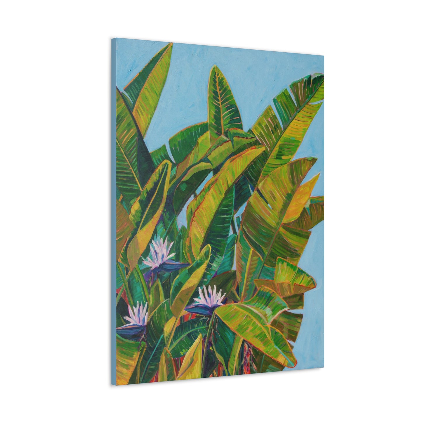 Bird of Paradise 2 — Gallery Wrapped Canvas Reproduction