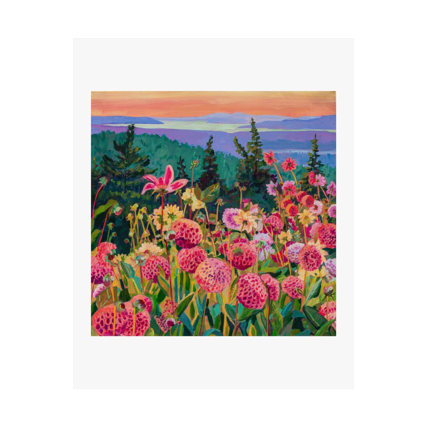 Wonder garden series-Dahlias— Matte Paper Poster Reproduction