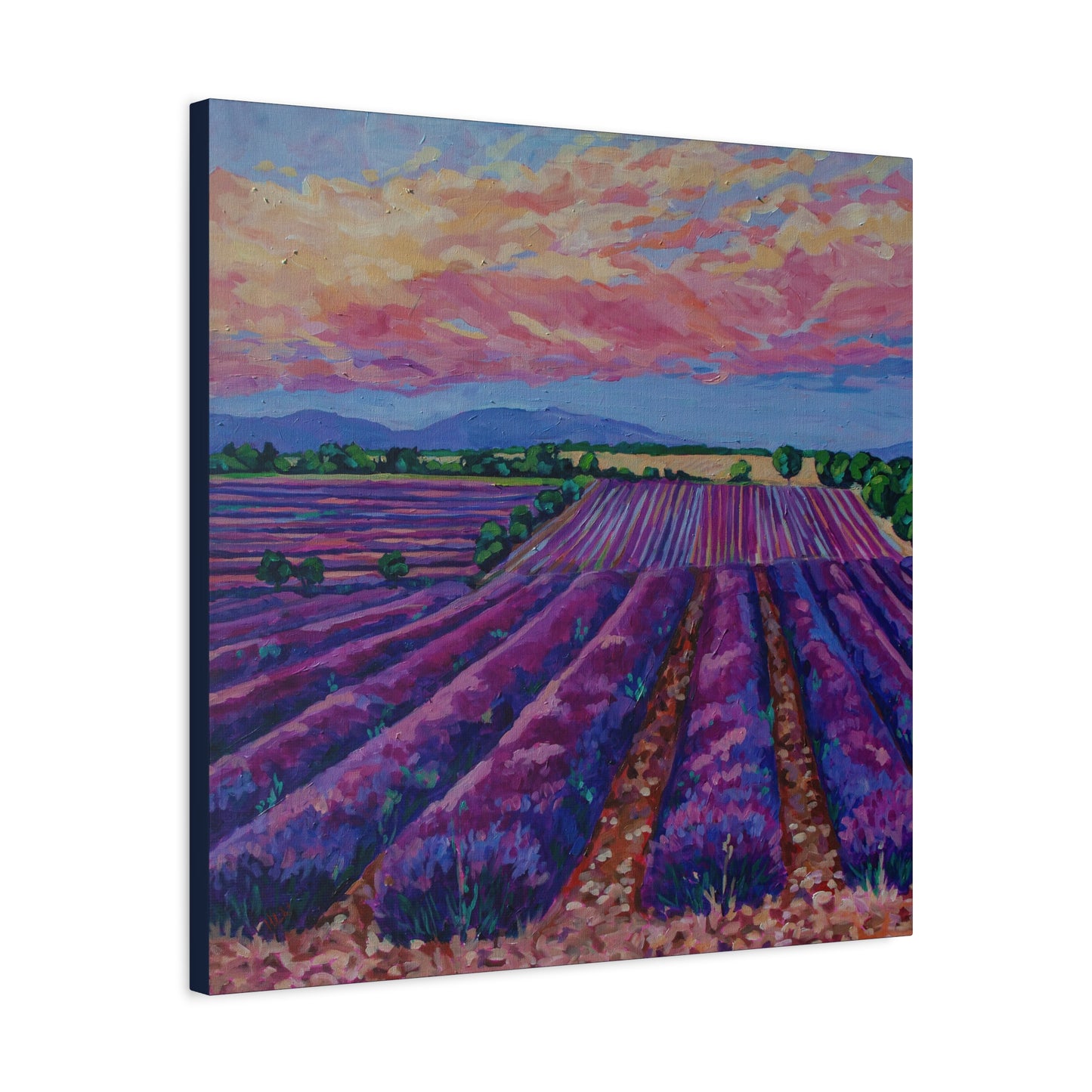 Lavender field at Sunset —Matte Canvas, Stretched, 1.25"