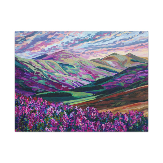 Heather in the Hills, West Linton-Scotland— Gallery Wrapped Canvas Reproduction