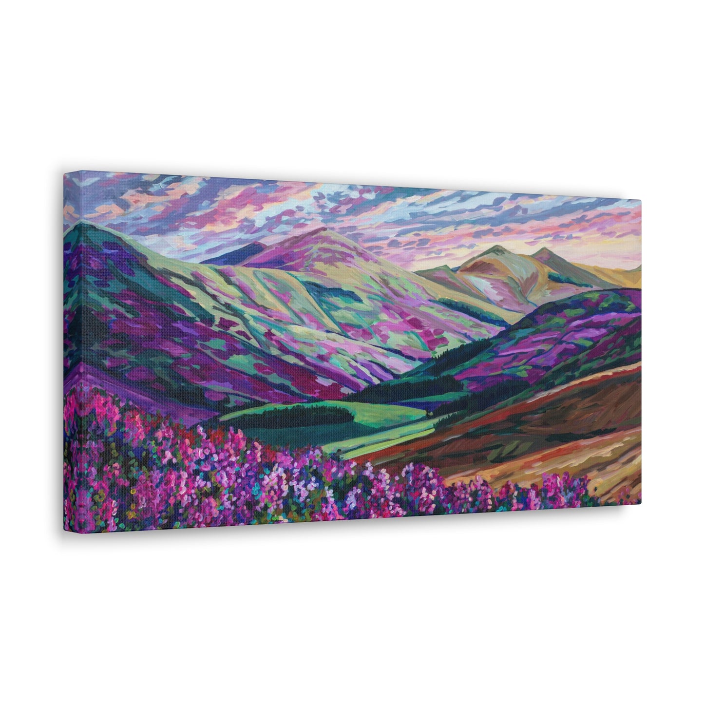 Heather in the Hills, West Linton-Scotland— Gallery Wrapped Canvas Reproduction