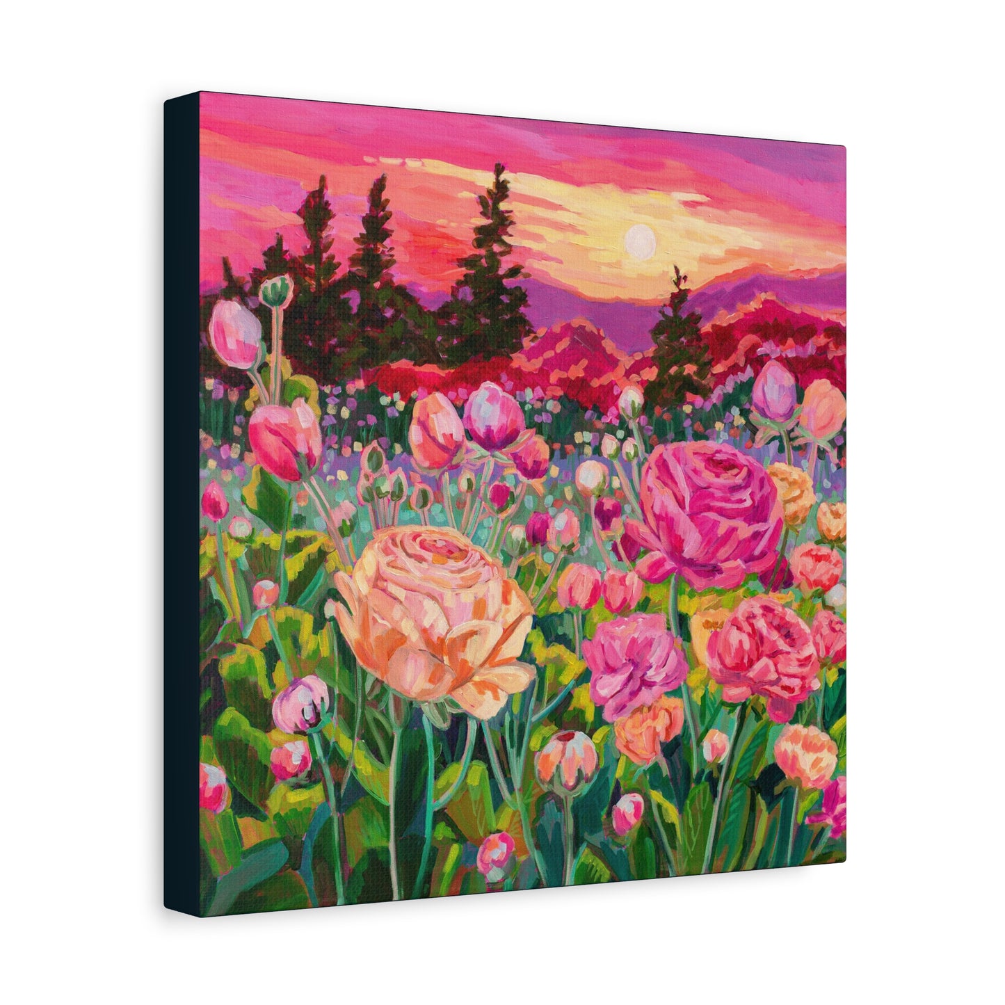 Wonder garden series- ranunculus—Matte Canvas, Stretched, 1.25"