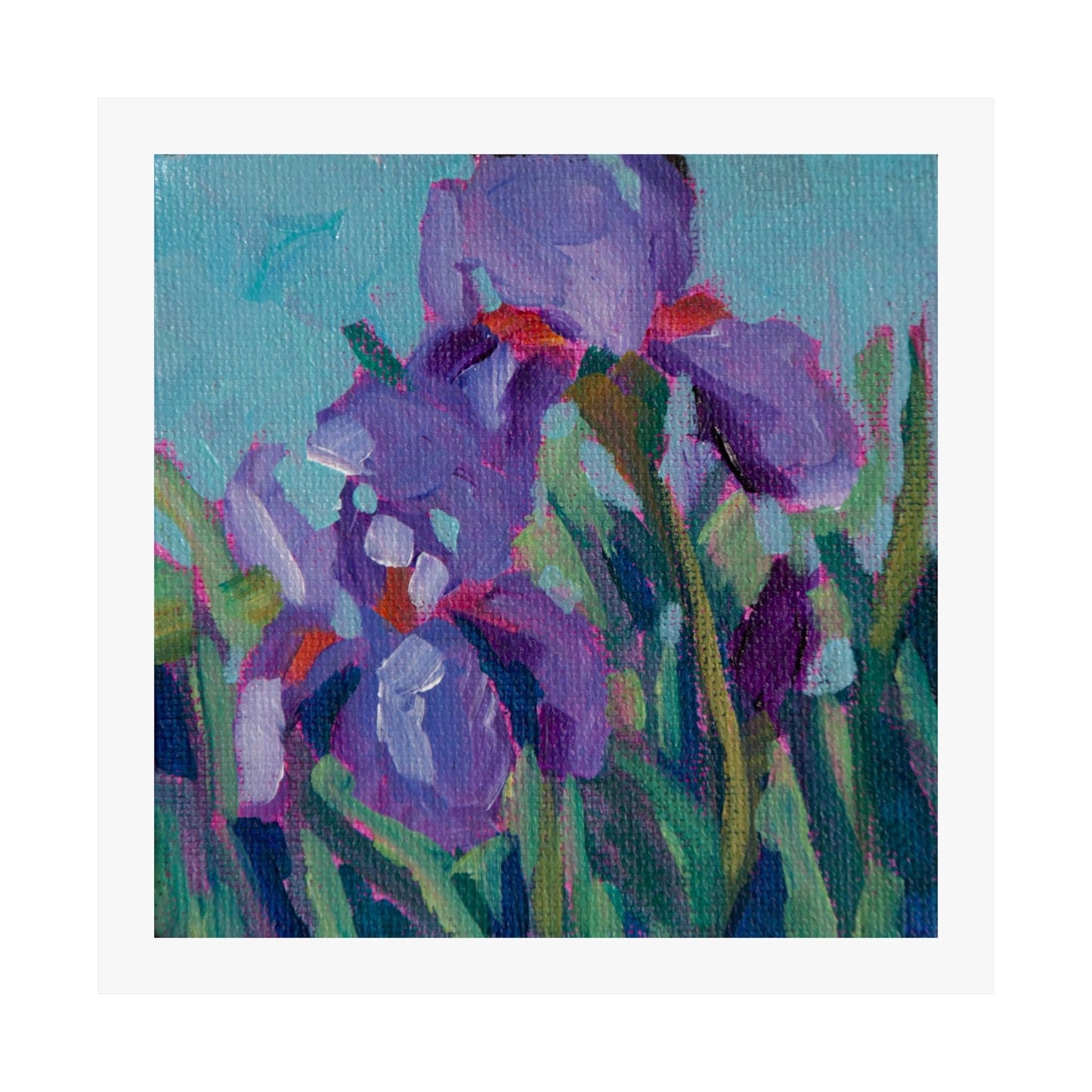 Small Iris 4 — Matte Paper Poster Reproduction