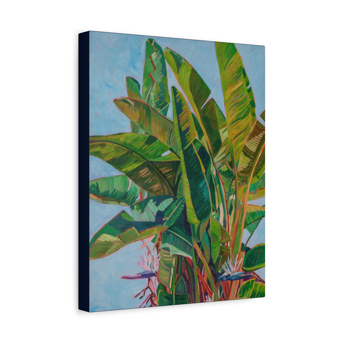 Bird of Paradise 1 —Matte Canvas, Stretched, 1.25"