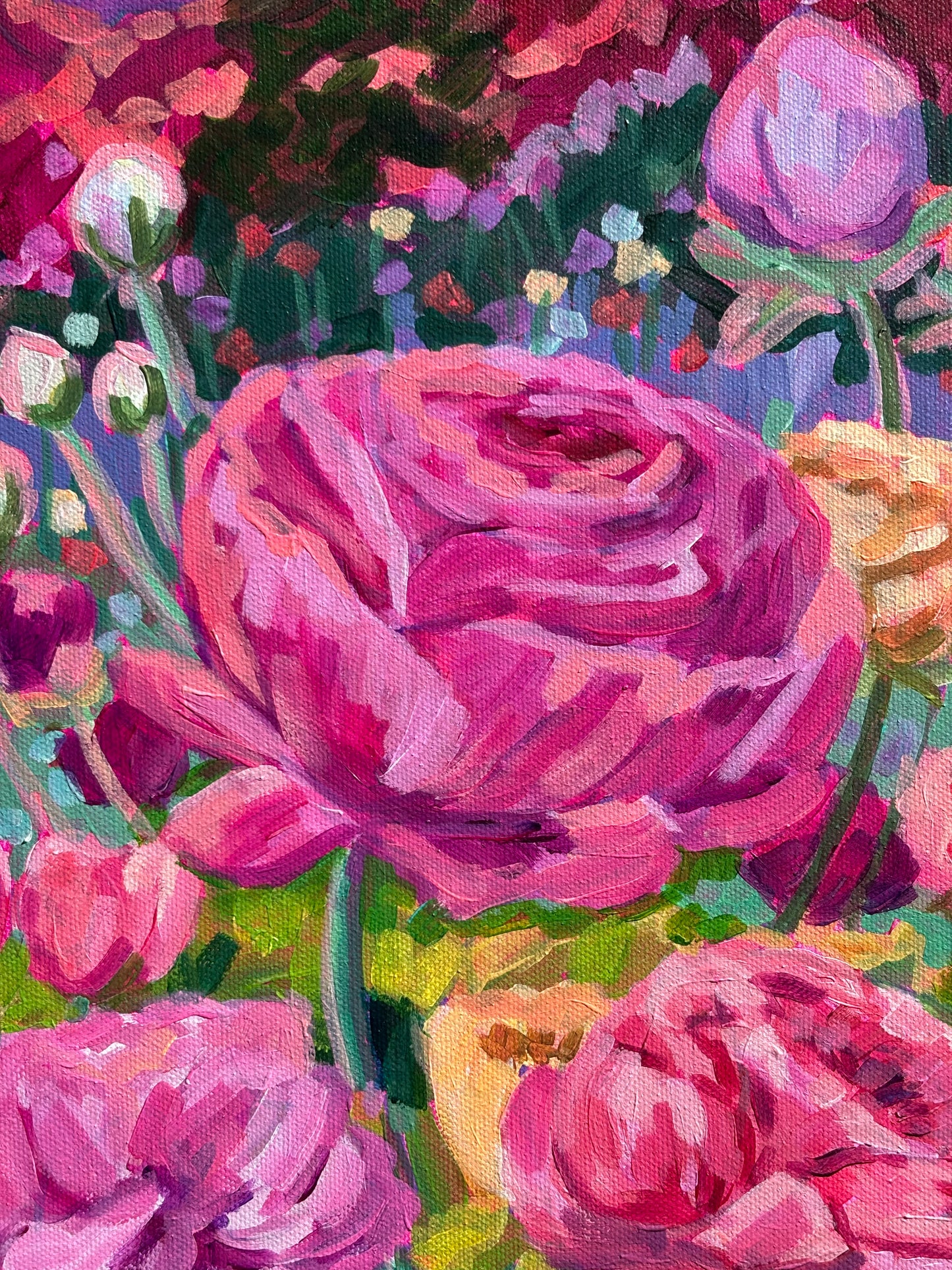 Wonder garden series- Ranunculus Meadow