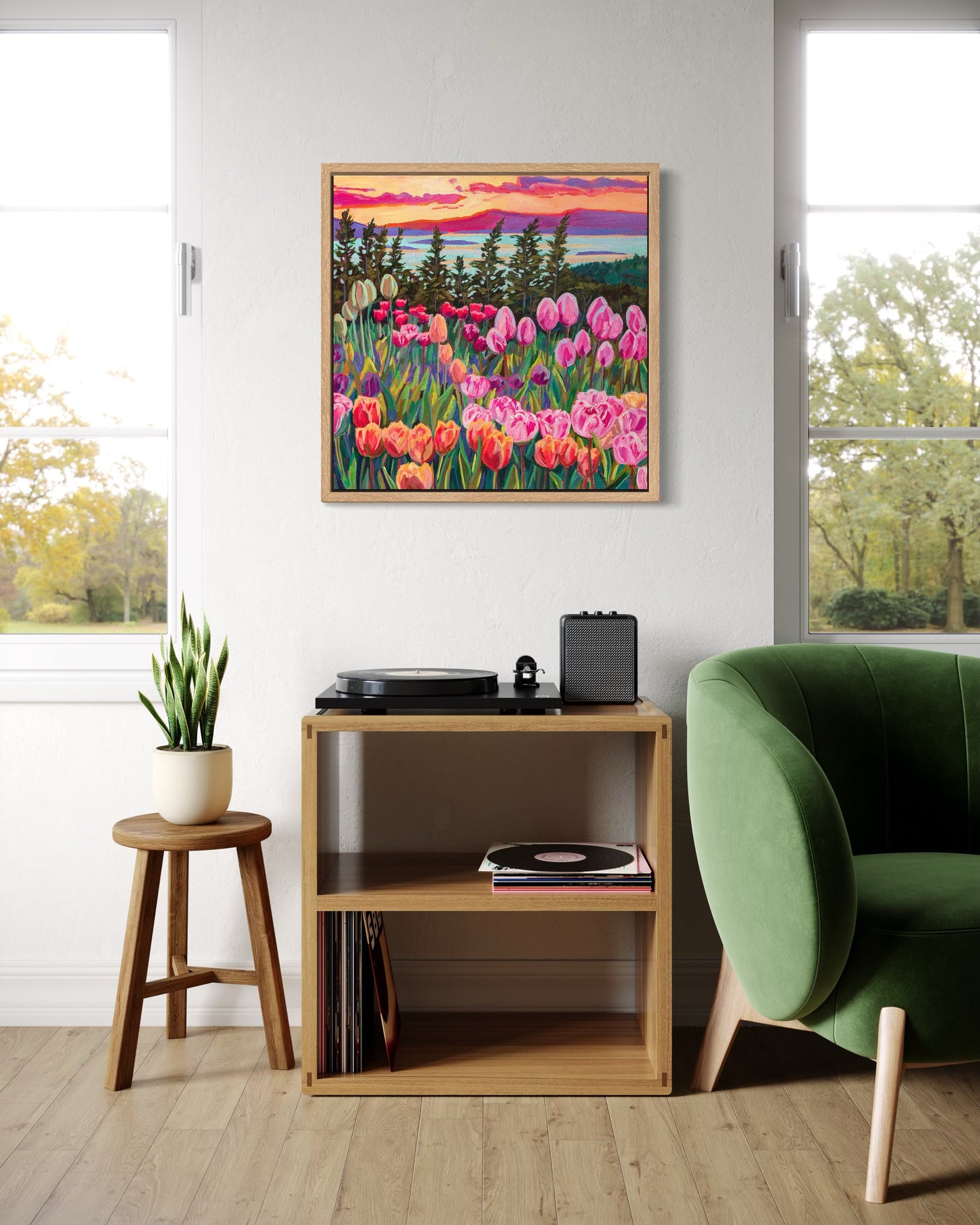 Wonder garden series- Tulip Sunset