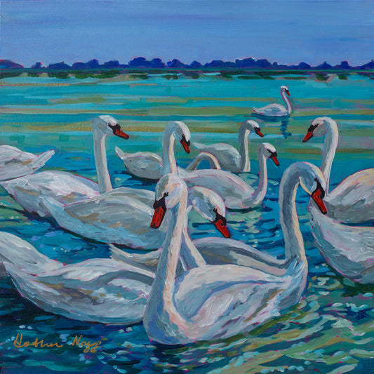 Bevy of Mute Swans