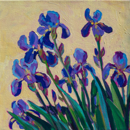 Purple Irises