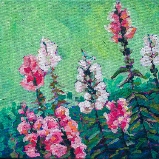 Snapdragons