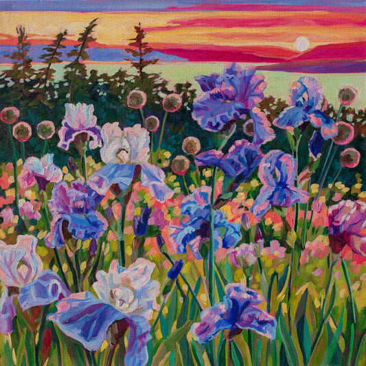 Wonder garden series- Irises