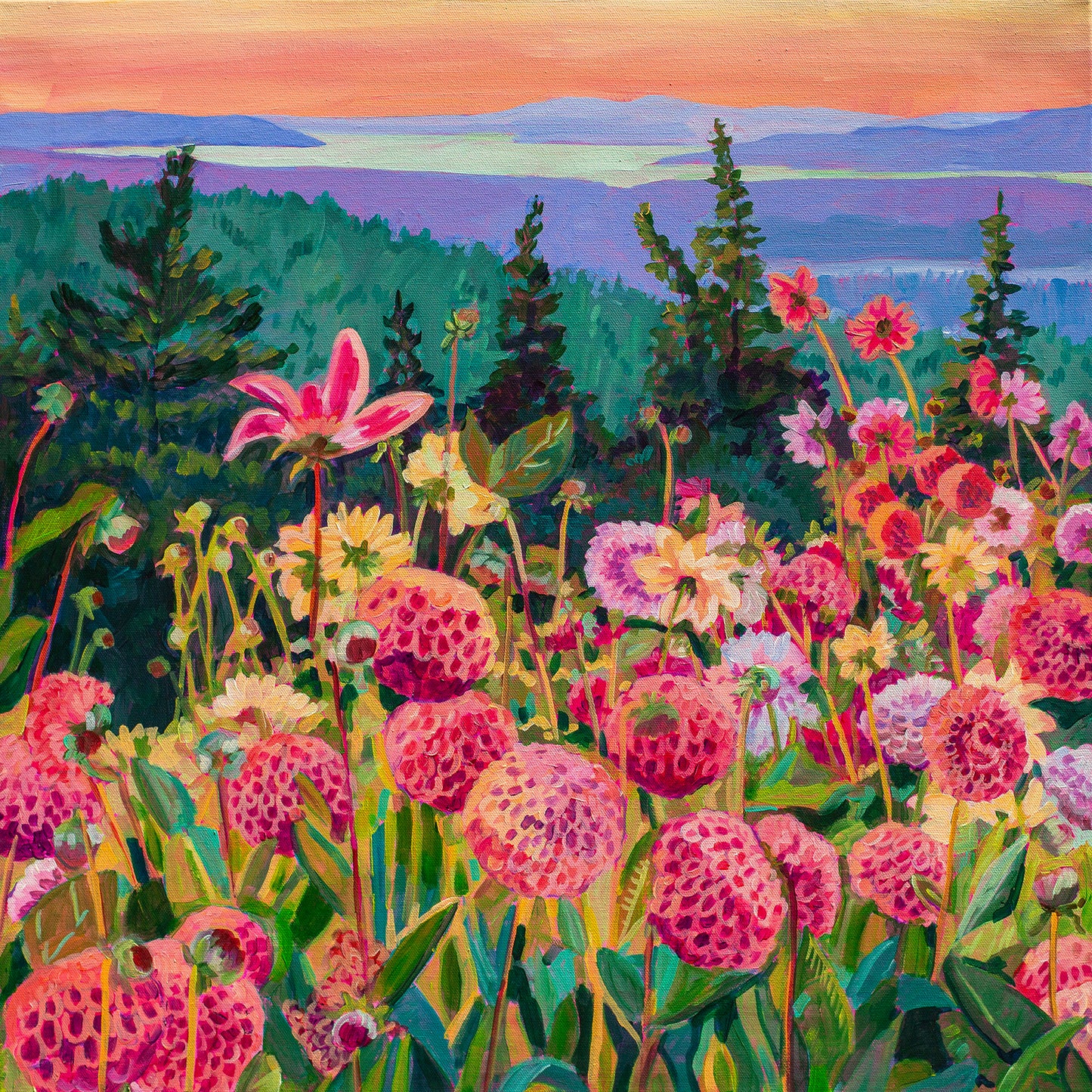 Wonder garden series- Dahlias at Dusk