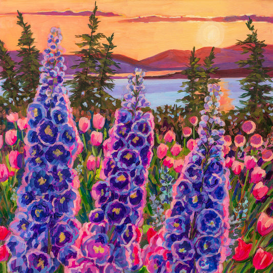 Wonder garden series- Delphinium trio