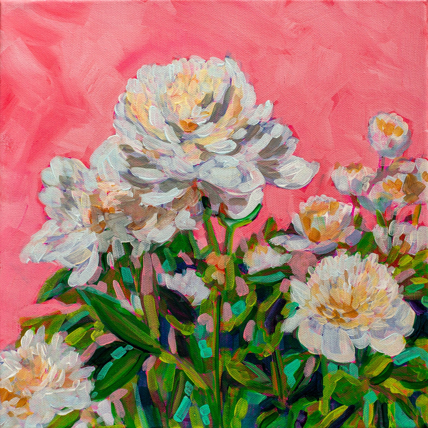 White Peonies