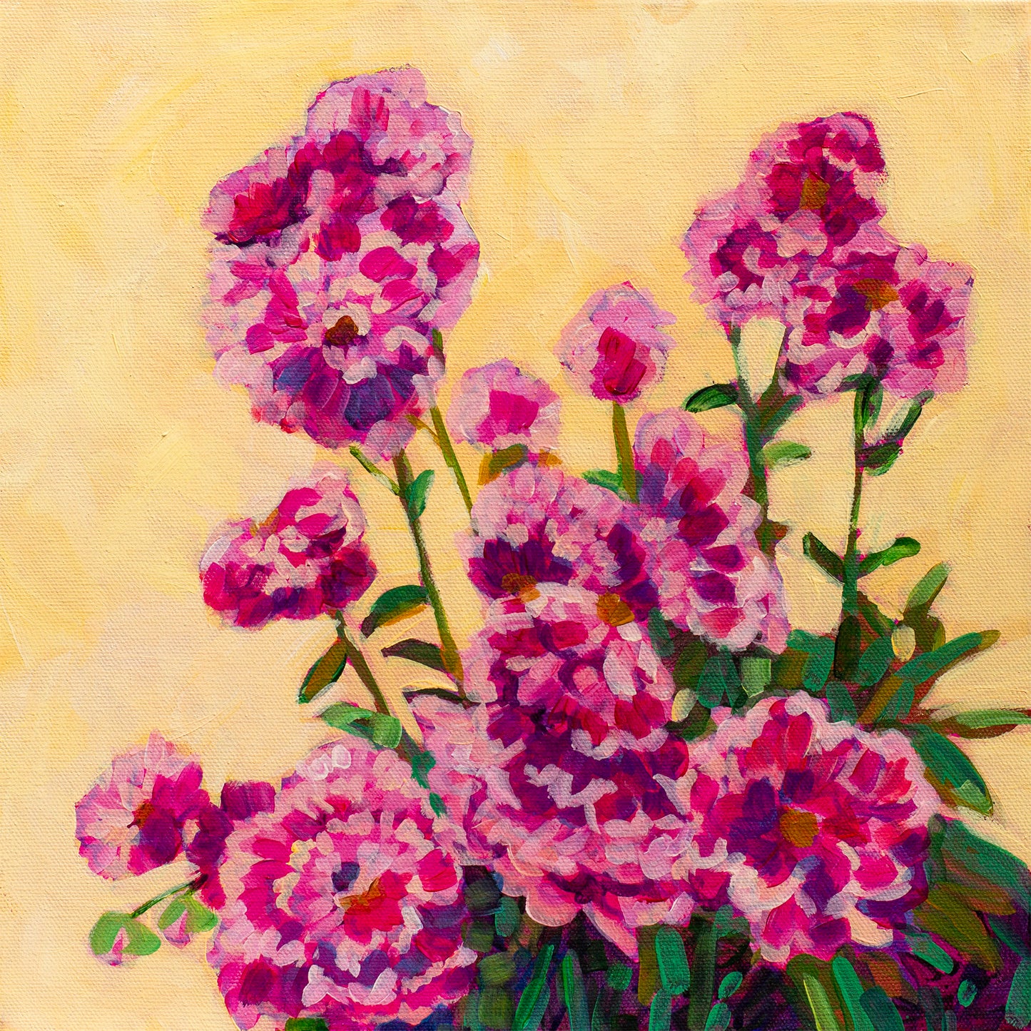 Pink Peonies
