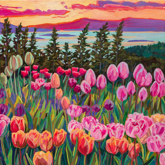 Wonder garden series- Tulip Sunset