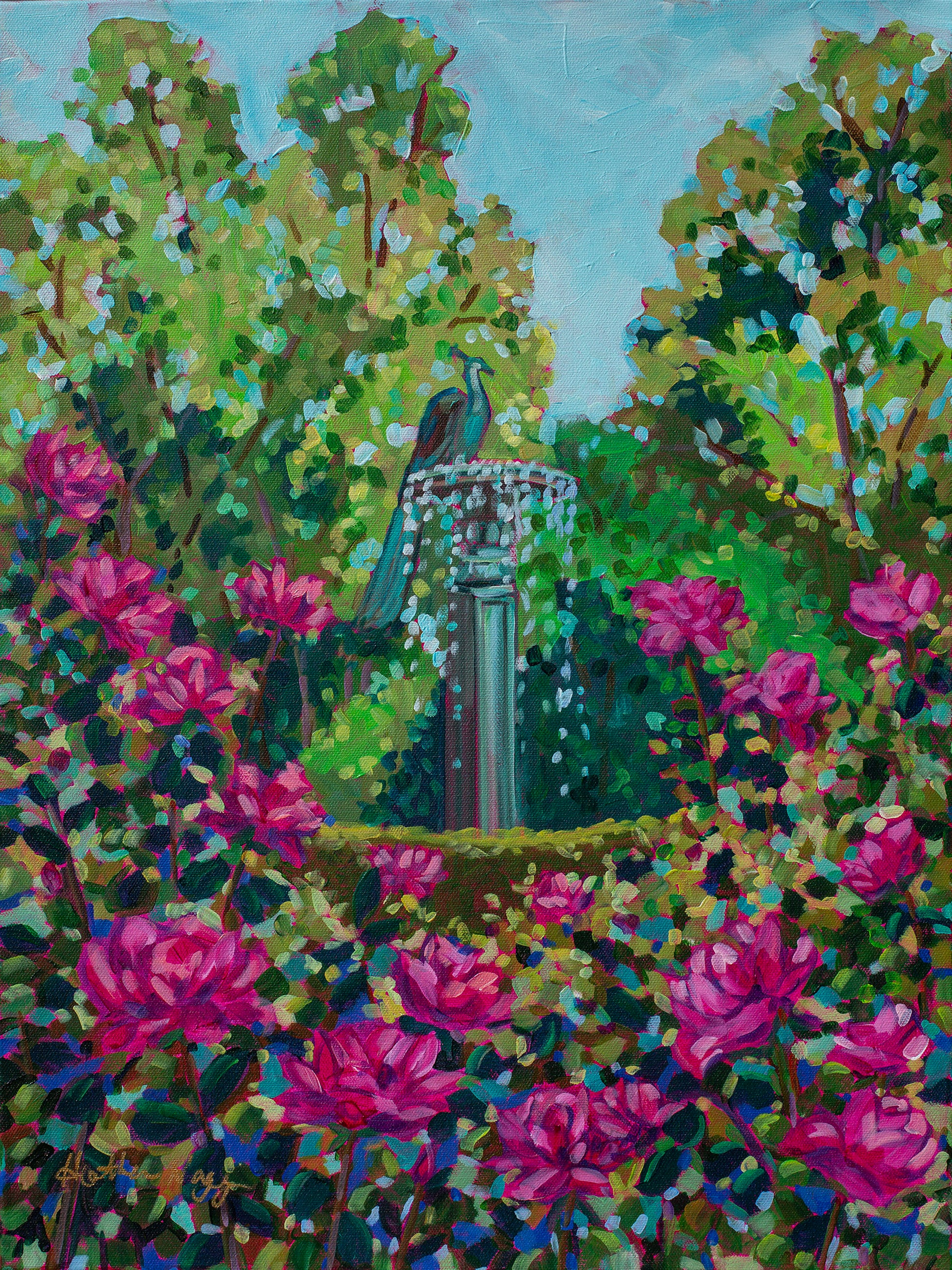 painting vibrant pink rose garden with iconic peacock fountain that is part of Winter Garden Florida