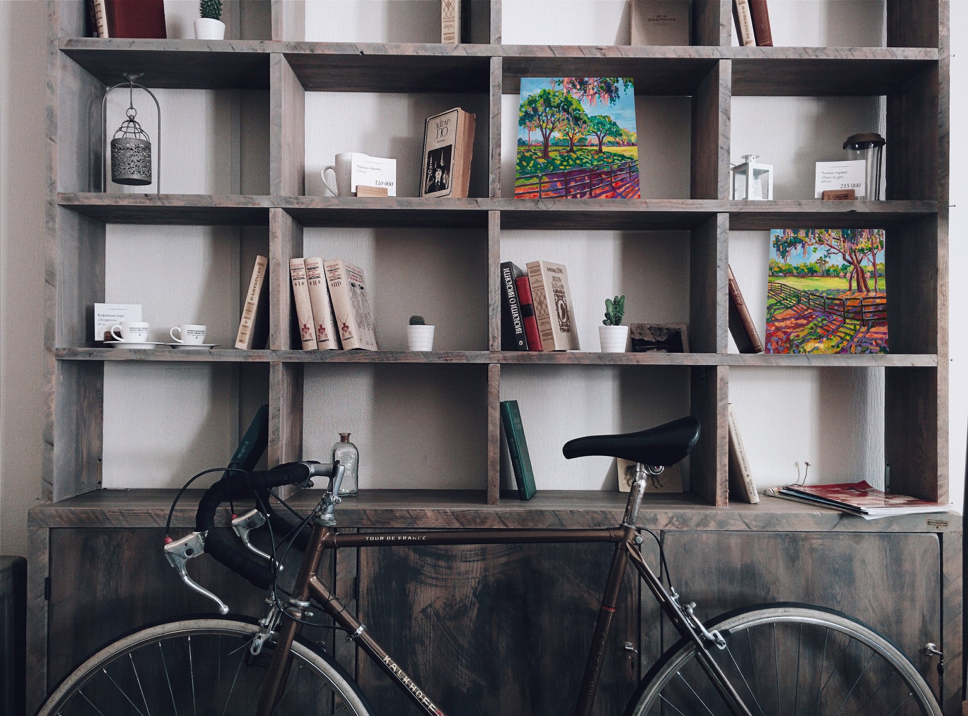 two paintings on bookshelf with other objects and bike