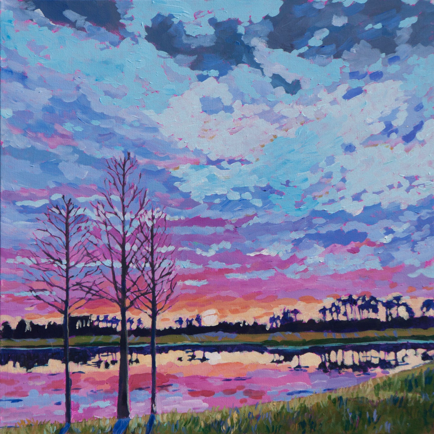 bare cypress trees by water in dramatic sunrise painting in florida