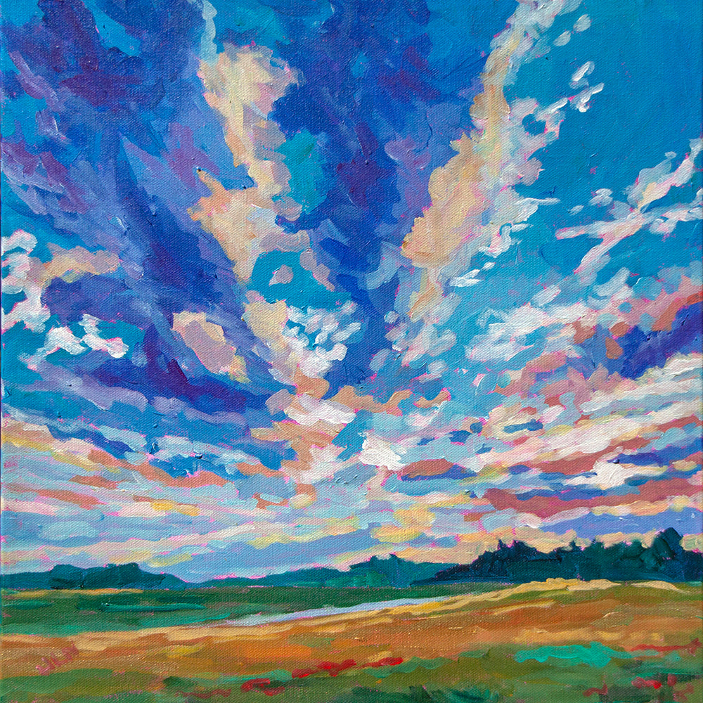 16x16 vibrant impressionist painting of field with dramatic clouds overhead