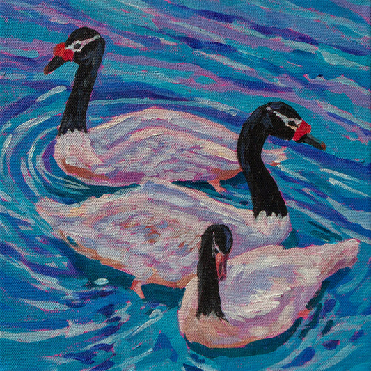 Three black necked swans, 10x10 original paintings