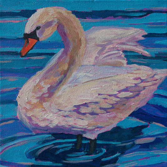 one muted swan standing in shallow water inspired by lake eola park in orlando