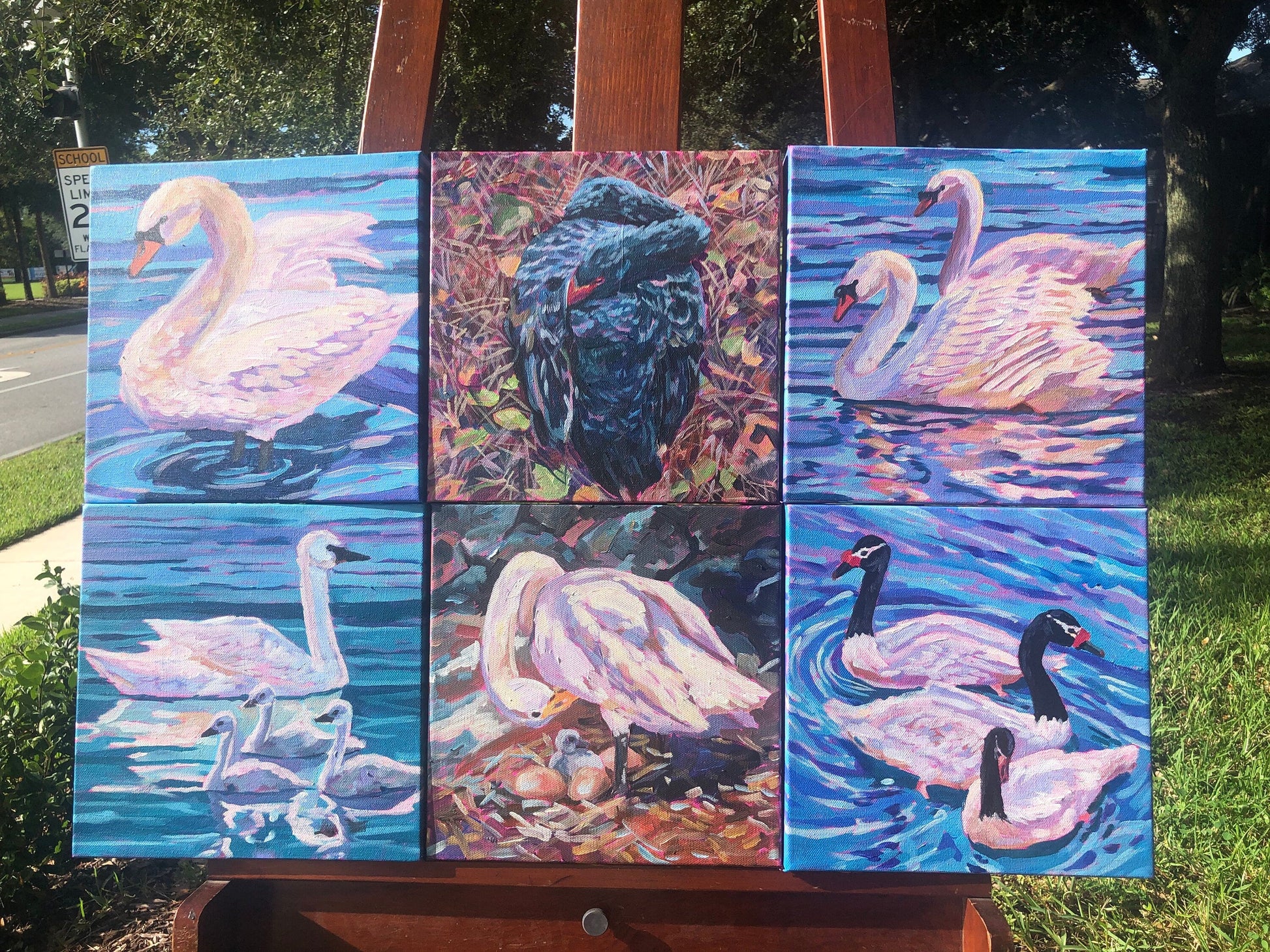 6 swan paintings