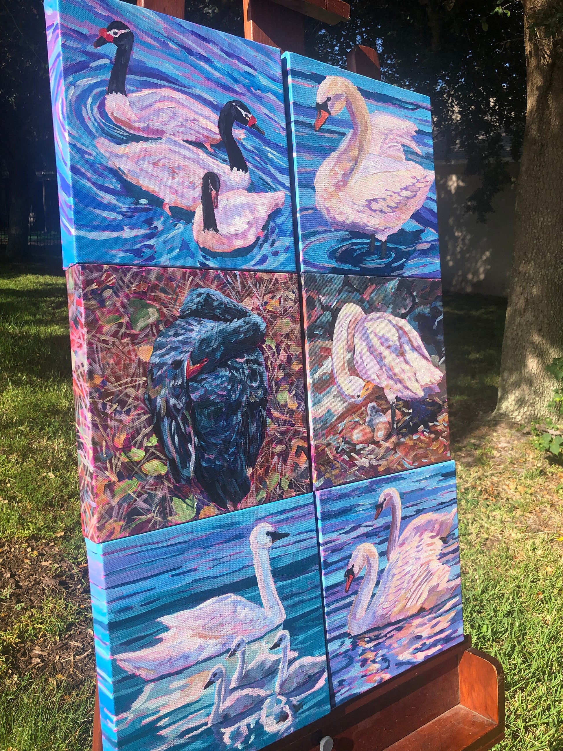 6 swan paintings on easel outside