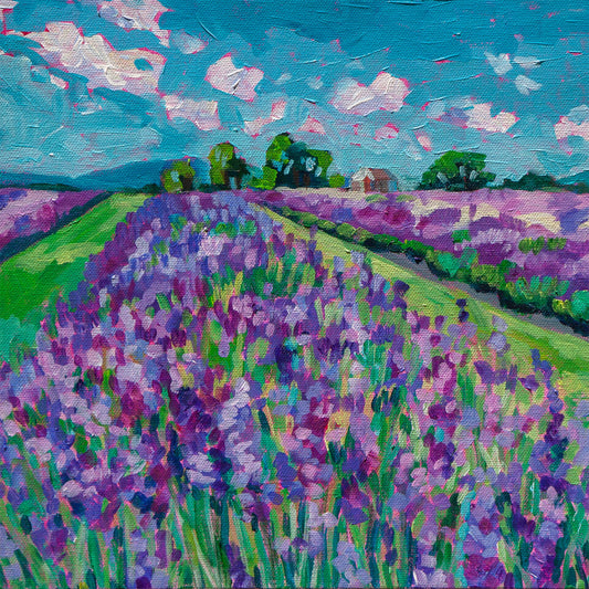 rows of lavender field in wine country of Ontario Canada painting