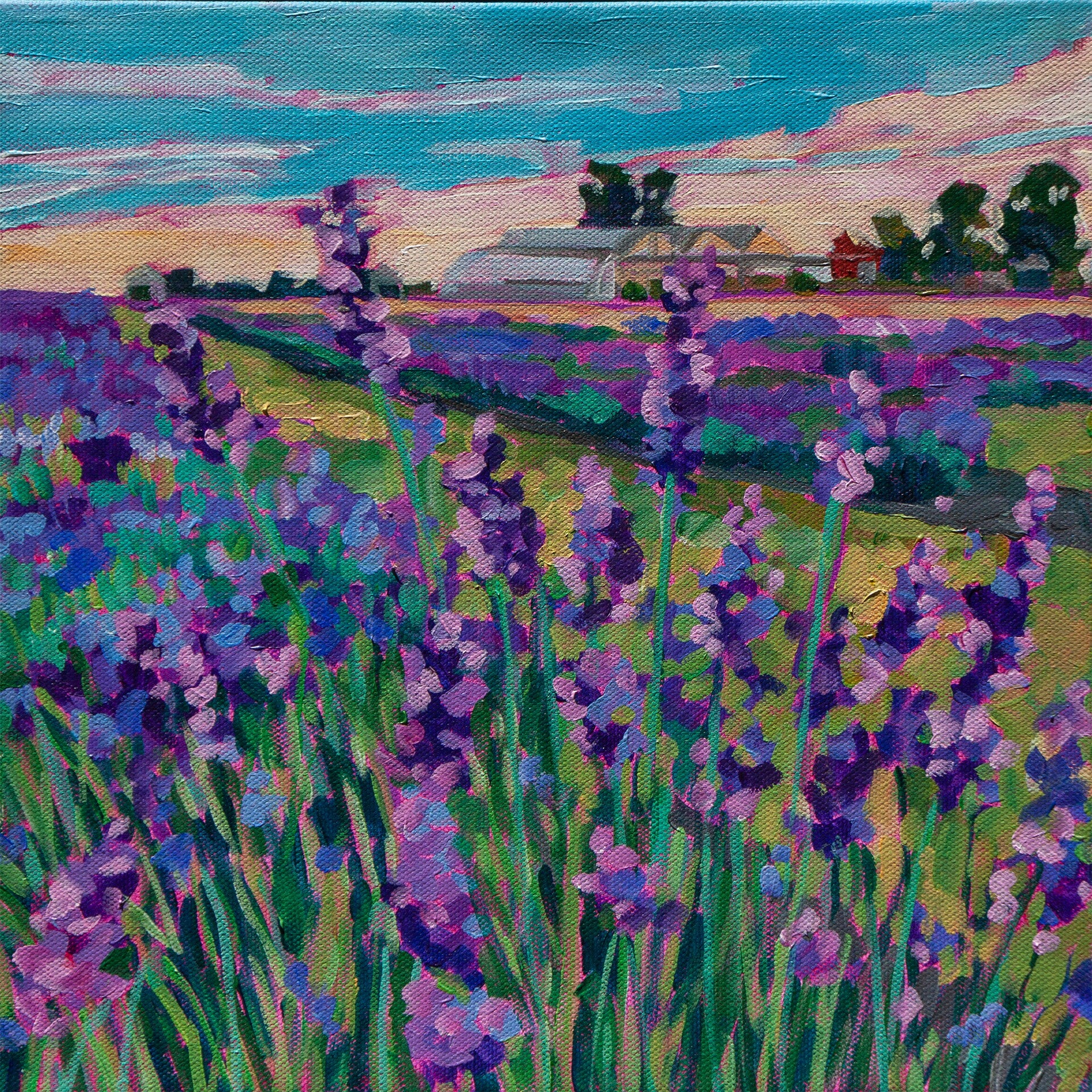 sunrise over lavender fields painting in Ontario Canada