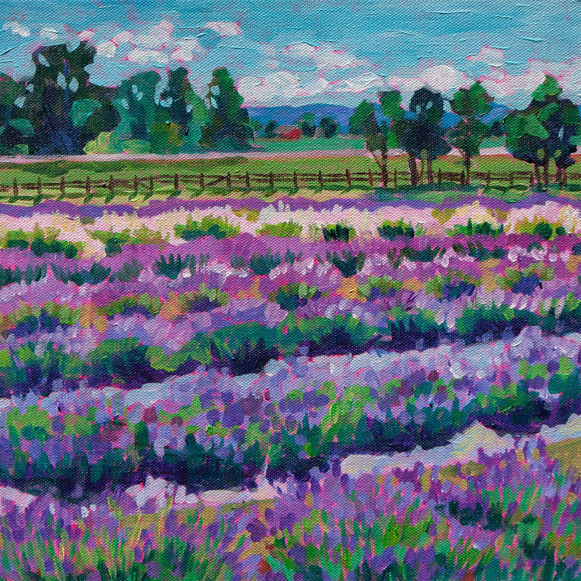 cheerful painting of lavender fields of Niagara on the Lake in Ontario Canada