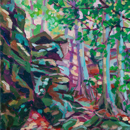 magical painting of ledges area of forest hike in Cuyahoga National Park south of Cleveland Ohio