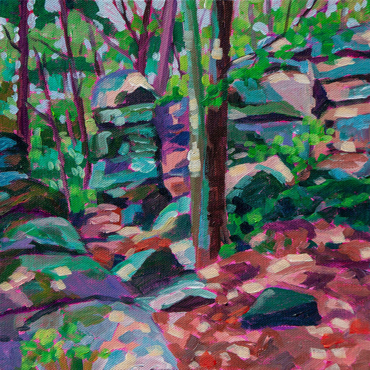 magical painting of ledges area of forest hike in Cuyahoga National Park south of Cleveland Ohio