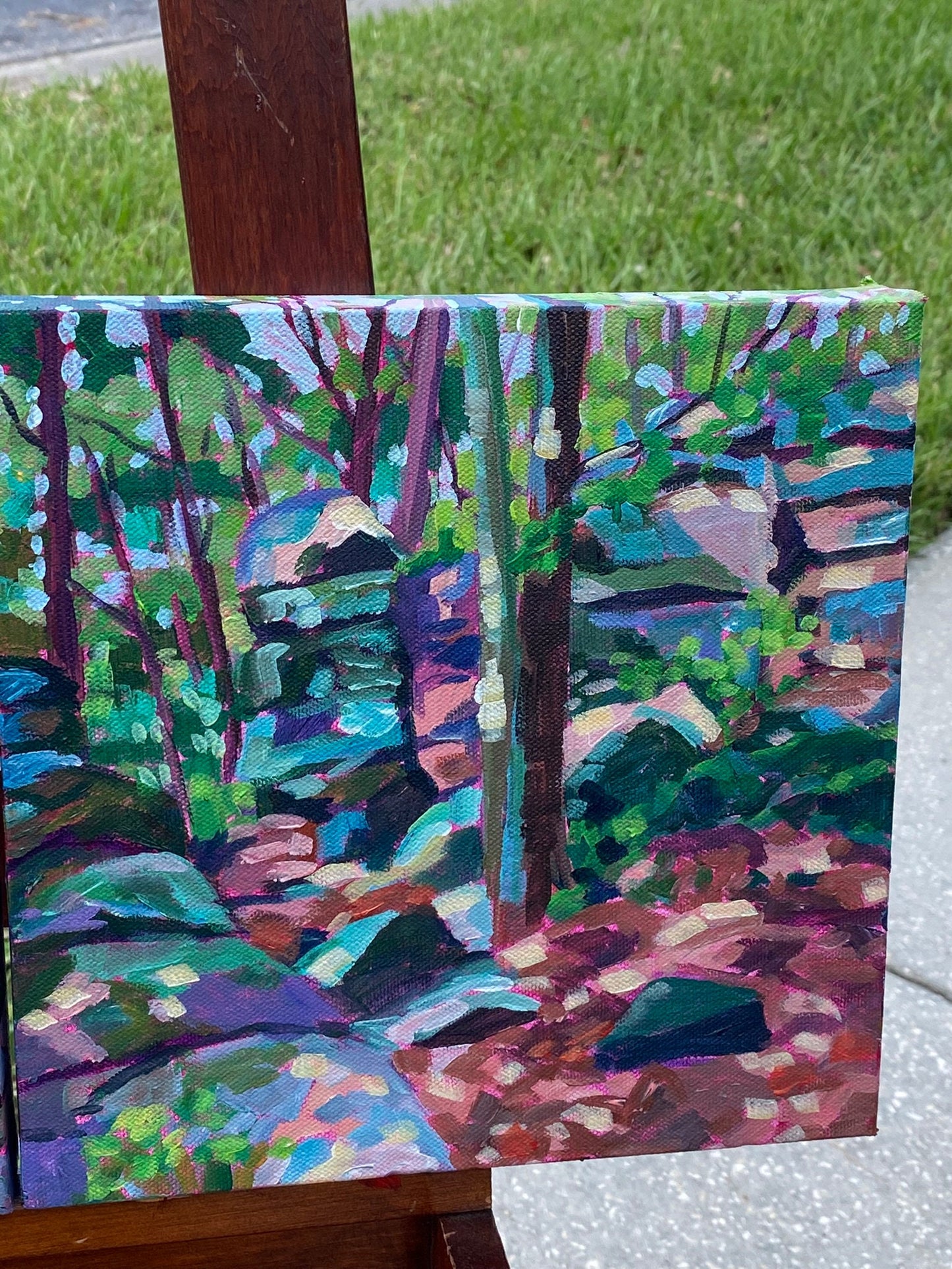 outdoor view on easel of Cuyahoga Ledges painting